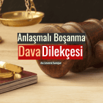 11Anlaşmalı Boşanma Dava Dilekçesi