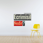 11Ecrimisil Nedir