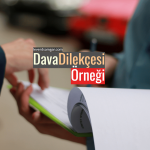 11Dava Dilekçesi Örneği