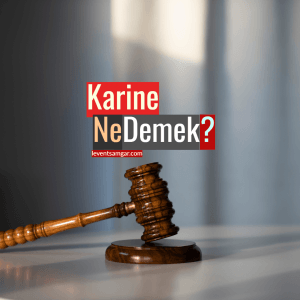 Karine Ne Demek