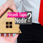 11Hisseli Tapu