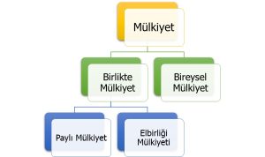 Payli Mulkiyet